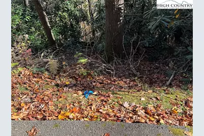 Tbd Hews Circle, Blowing Rock, NC 28605 - Photo 1