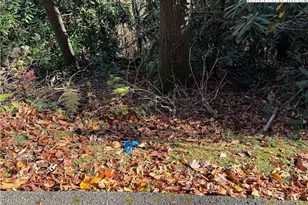 Tbd Hews Circle, Blowing Rock, NC 28605 - Photo 1