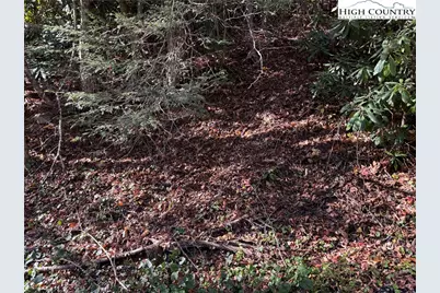 Tbd Hews Circle, Blowing Rock, NC 28605 - Photo 12