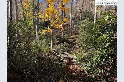 Tbd Hews Circle, Blowing Rock, NC 28605 - Photo 8