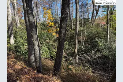 Tbd Hews Circle, Blowing Rock, NC 28605 - Photo 10