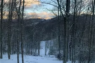 351 Seasons Dr, Vilas, NC 28692 - Photo 42