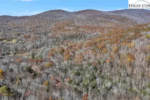 525 David Sides Rd, Boone, NC 28607 - Photo 44