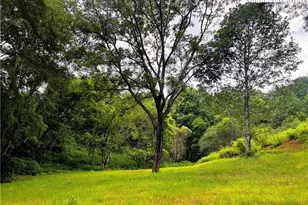 846 Joe Shoemaker Rd, Vilas, NC 28692 - Photo 1