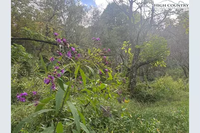 846 Joe Shoemaker Road, Vilas, NC 28692 - Photo 16