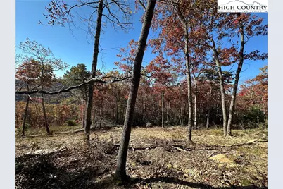 Lot 23 Bluebell Trail, Boone, NC 28607 - Photo 22