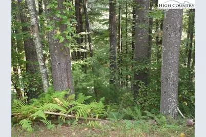 Tbd Woodlands Drive, Piney Creek, NC 28663 - Photo 4