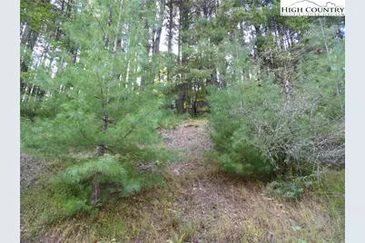 Tbd Woodlands Drive, Piney Creek, NC 28663 - Photo 2