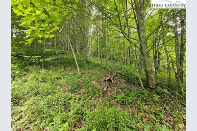 851 E Whenlin Ridge Road, Lansing, NC 28643 - Photo 12