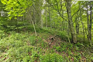 851 E Whenlin Ridge Rd, Lansing, NC 28643 - Photo 12