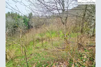 851 E Whenlin Ridge Road, Lansing, NC 28643 - Photo 6