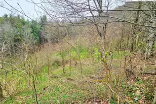 851 E Whenlin Ridge Rd, Lansing, NC 28643 - Photo 6