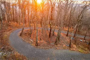 1390 Ransey Woodring Rd, Todd, NC 28684 - Photo 46