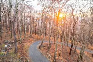 1390 Ransey Woodring Rd, Todd, NC 28684 - Photo 6