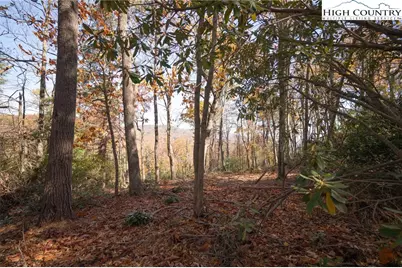 Lot 115 Autumn Sunset Overlook, Deep Gap, NC 28618 - Photo 8