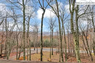 3043 Junaluska Rd, Boone, NC 28607 - Photo 48