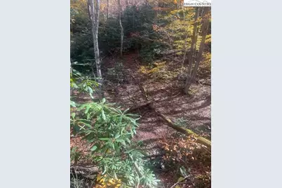 Tbd Old Hwy 16, Jefferson, NC 28640 - Photo 12