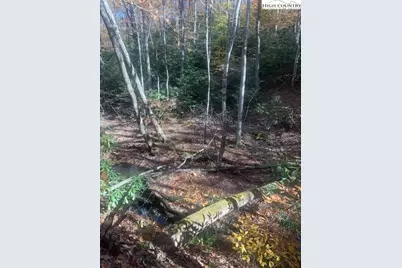 Tbd Old Hwy 16, Jefferson, NC 28640 - Photo 10