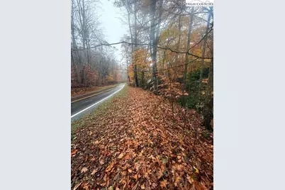 Tbd Old Hwy 16, Jefferson, NC 28640 - Photo 4