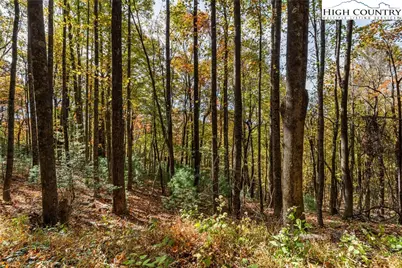 Tbd - Lot 24 Ben Miller Road, Deep Gap, NC 28618 - Photo 4
