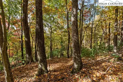 Tbd - Lot 24 Ben Miller Road, Deep Gap, NC 28618 - Photo 10
