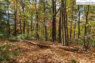 Tbd - Lot 24 Ben Miller Road, Deep Gap, NC 28618 - Photo 6