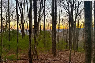 Tbd - Lot 24 Ben Miller Rd, Deep Gap, NC 28618 - Photo 1