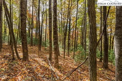 Tbd - Lot 24 Ben Miller Road, Deep Gap, NC 28618 - Photo 8