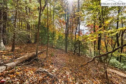 Tbd - Lot 24 Ben Miller Road, Deep Gap, NC 28618 - Photo 12