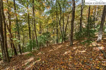 Tbd - Lot 24 Ben Miller Road, Deep Gap, NC 28618 - Photo 14