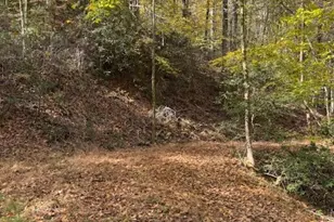 78 Holleridge Rd, Ferguson, NC 28624 - Photo 1