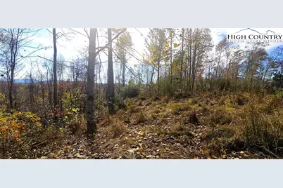 Lot 110 Settlers Knob Road, Elk Park, NC 28622 - Photo 10