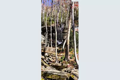 Lot 110 Settlers Knob Road, Elk Park, NC 28622 - Photo 30