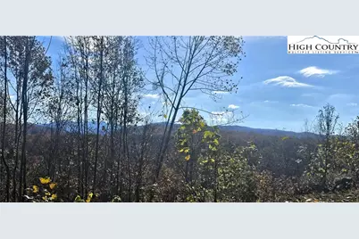 Lot 110 Settlers Knob Road, Elk Park, NC 28622 - Photo 8