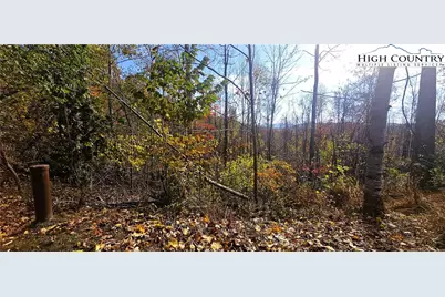 Lot 110 Settlers Knob Road, Elk Park, NC 28622 - Photo 2