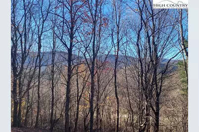 Tbd Clarence Lyall Road, West Jefferson, NC 28694 - Photo 4