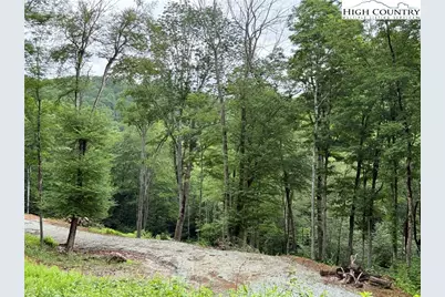 Tbd Junaluska Road, Boone, NC 28607 - Photo 20