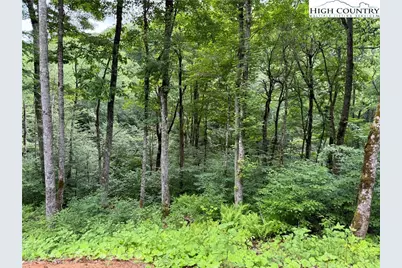 Tbd Junaluska Road, Boone, NC 28607 - Photo 14