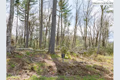 Vr23 Fernwood Trail, Elk Park, NC 28604 - Photo 2