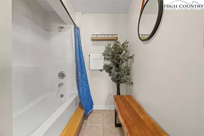 169 Hornbeam Road, Beech Mountain, NC 28604 - Photo 38