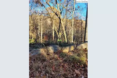 251 Poplar Drive, Beech Mountain, NC 28604 - Photo 8