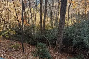 251 Poplar Dr, Beech Mountain, NC 28604 - Photo 1