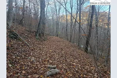 Tbd Junaluska Road, Boone, NC 28607 - Photo 8