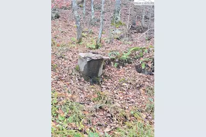 Tbd Junaluska Road, Boone, NC 28607 - Photo 12