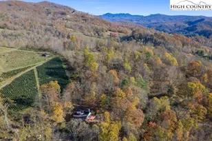 3974 Beech Mountain Rd, Elk Park, NC 28622 - Photo 4