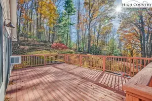 3974 Beech Mountain Rd, Elk Park, NC 28622 - Photo 10