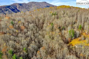 1451 Elliott Rd, West Jefferson, NC 28694 - Photo 24