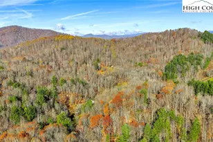 1451 Elliott Rd, West Jefferson, NC 28694 - Photo 26