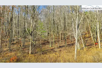 1451 Elliott Road, West Jefferson, NC 28694 - Photo 6