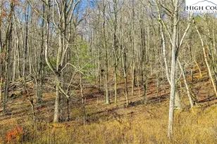 1451 Elliott Rd, West Jefferson, NC 28694 - Photo 6